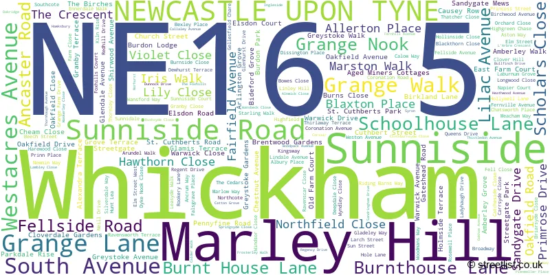 A word cloud for the NE16 5 postcode